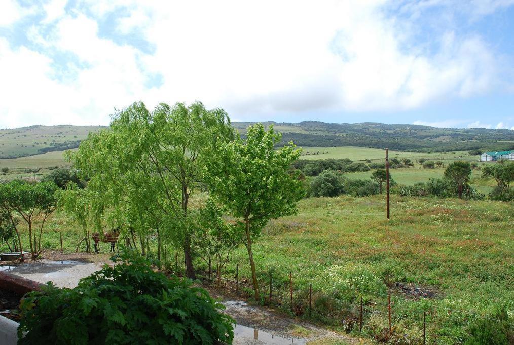 San Jose Del Valle 파시나스 외부 사진